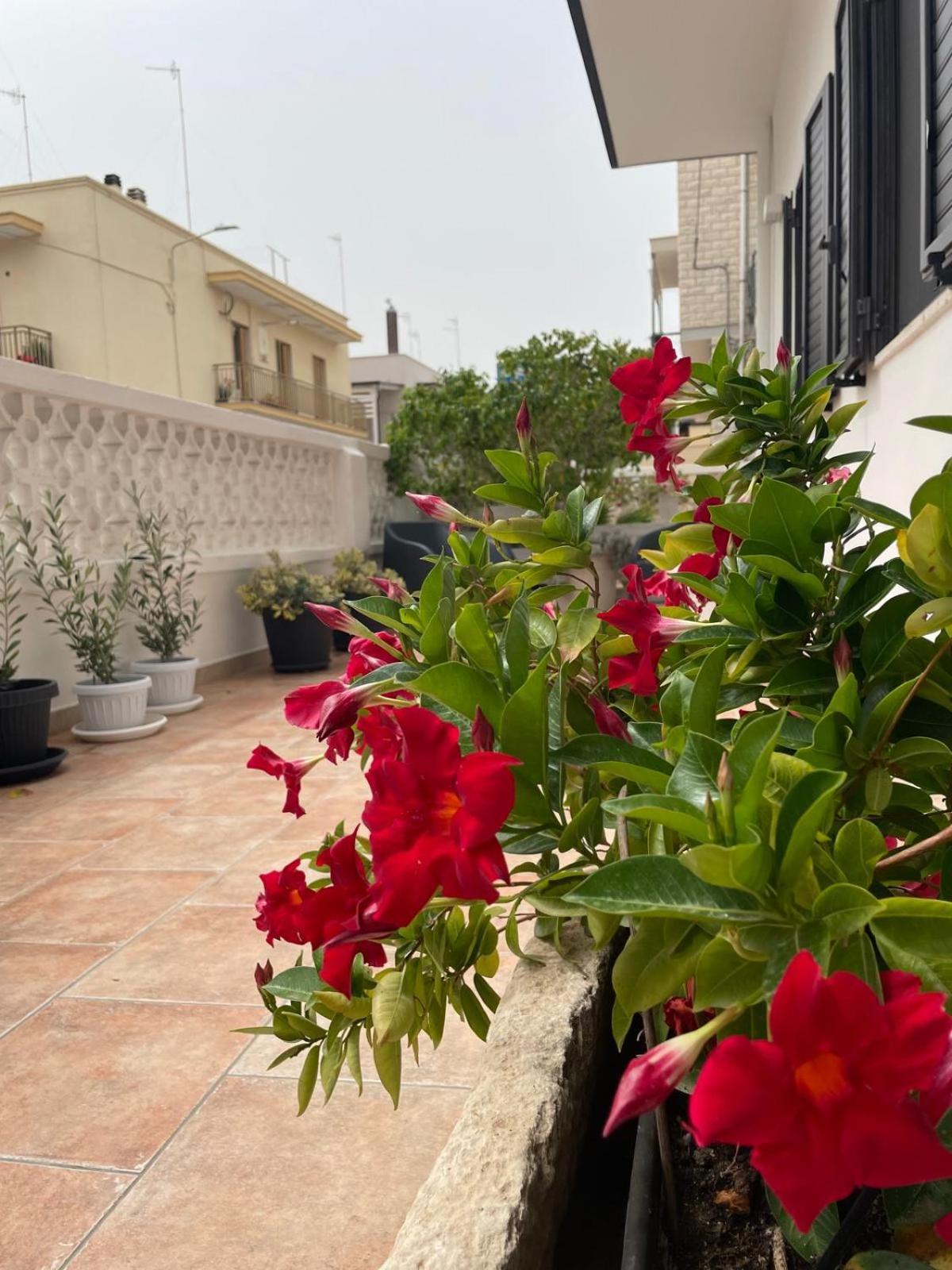Rosa Dei Venti Villa Polignano a Mare Buitenkant foto